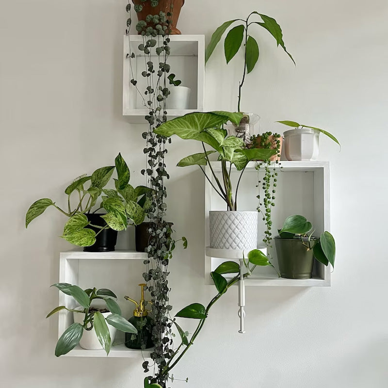 Flower Pot Tray