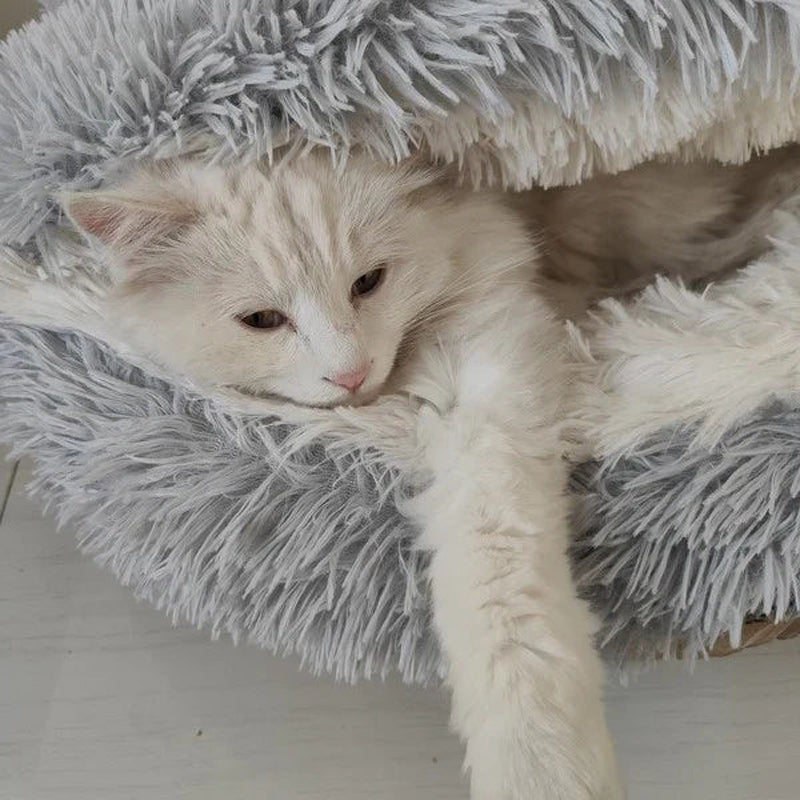 Semi-enclosed Cat Bed
