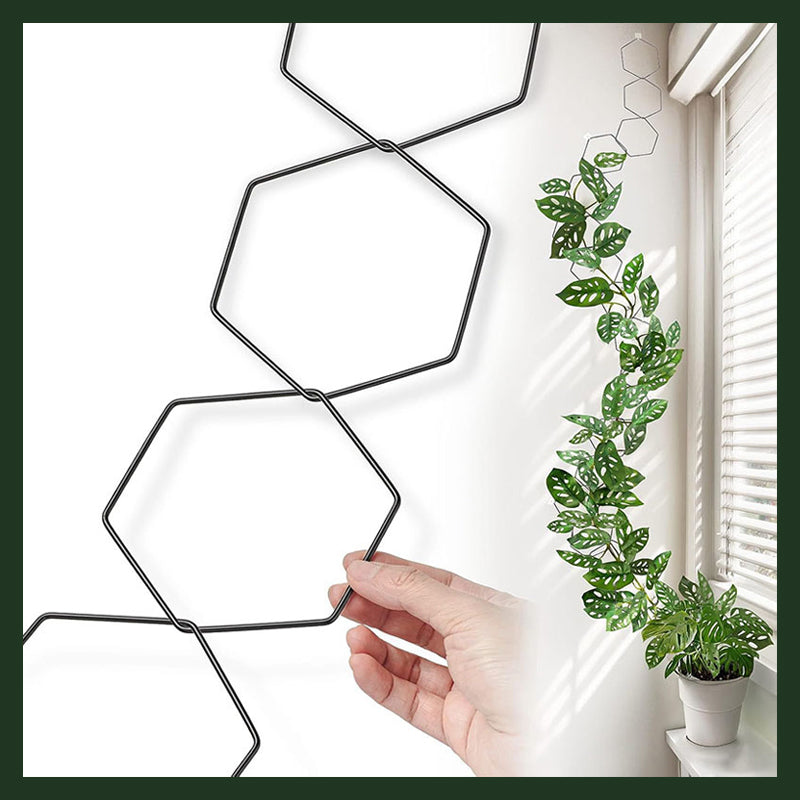 Plant Climbing Rack
