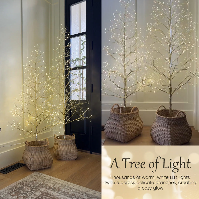 โจ Enchanted Christmas Twinkle Tree Lights ๐๐
