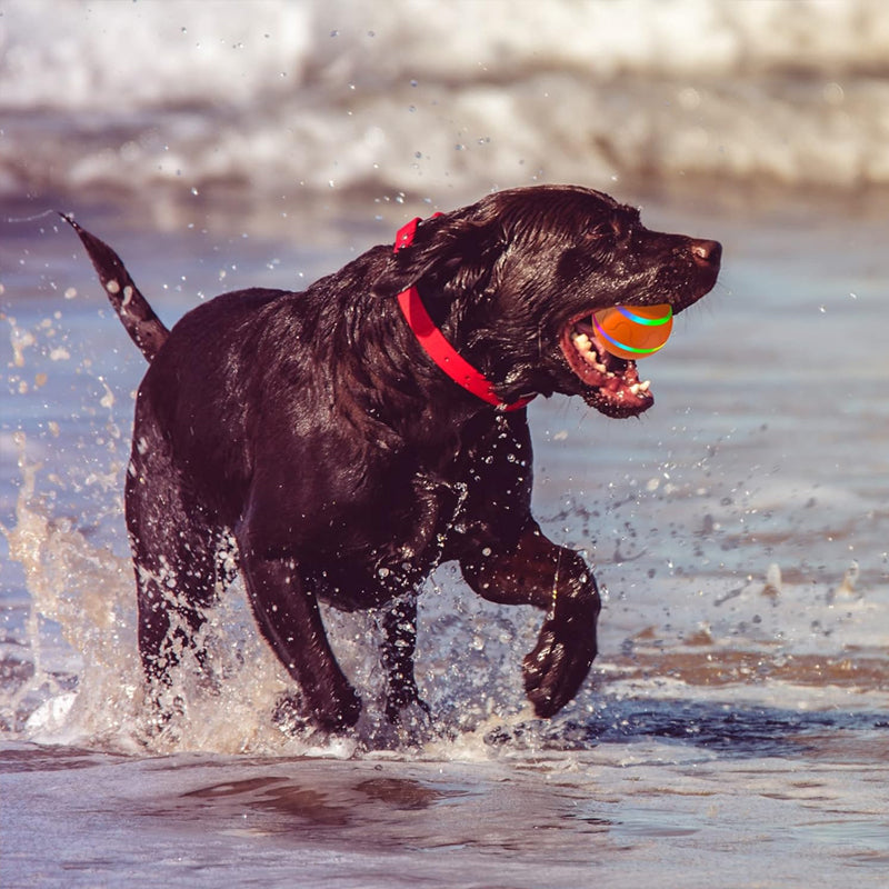 Smart Pet Jumping Ball
