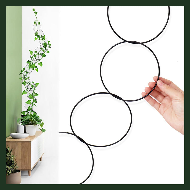 Plant Climbing Rack