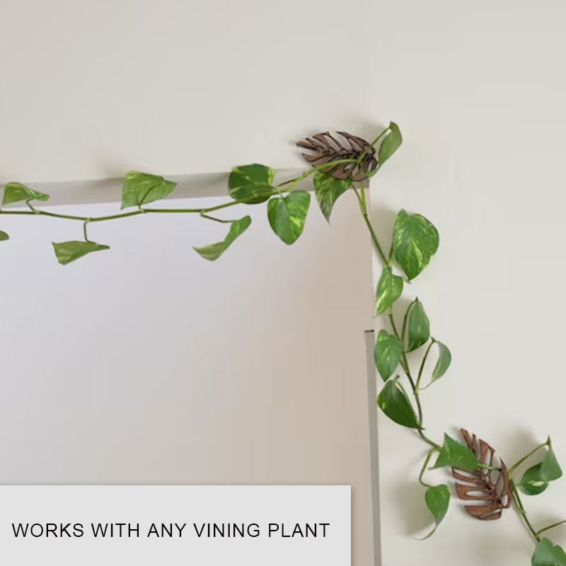 Climbing Plant Wall Clip