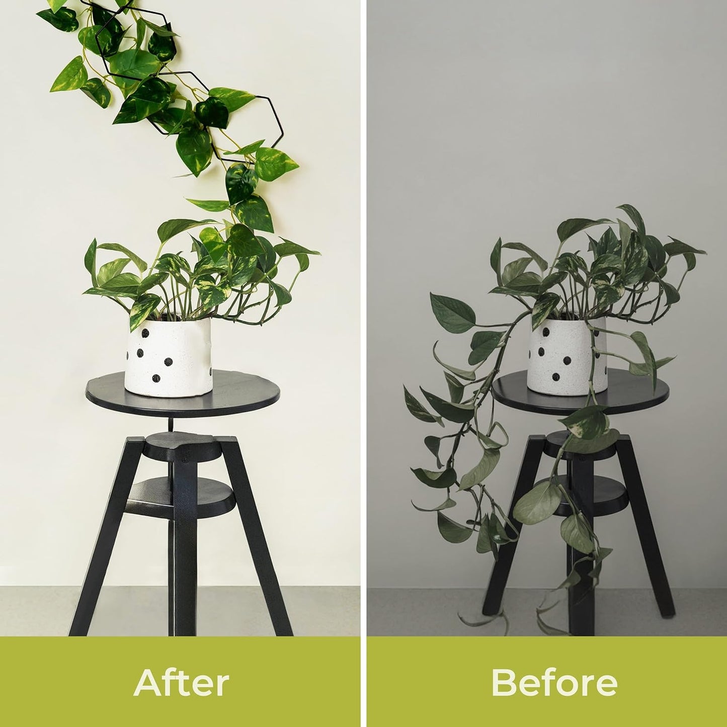Plant Climbing Rack